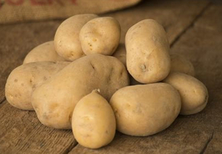 Potato LOOSE - Yellow 'Nicola' (LOCAL)